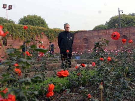 President Pranab Mukherjee visiting the Mughal Garden at Rashtrapati Bhavan in New Delhi on Saturday. The Garden will remain open for public till March 16. (UNI)