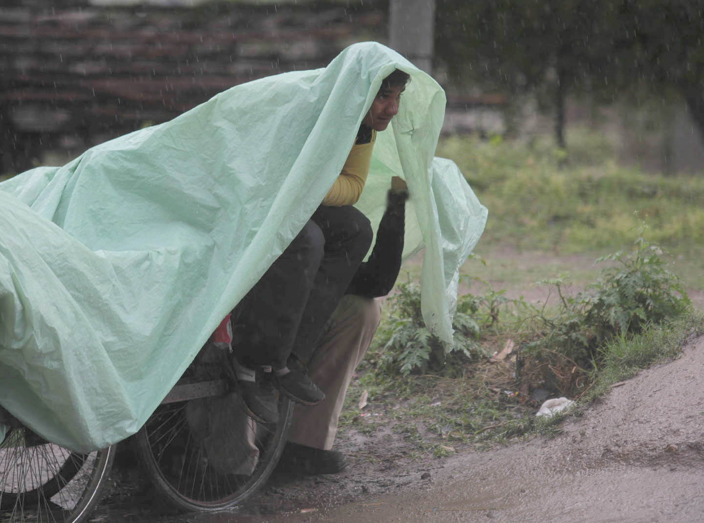 A roadside vendor taking cover of a sheet to protect himself from showers on Wednesday. -Excelsior/Rakesh