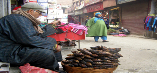 A road side vendor selling roasted fish, which is in great demand as these are being traditionally consumed in Kashmir during the harsh winter days. (UNI)