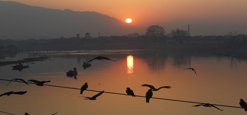 Eagles fly over Jhelum river as Sun rises during the cold wave conditions in Kashmir on Tuesday. -Excelsior/Amin War