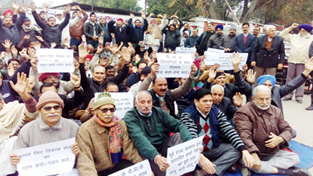 PoK DPs staging protest outside Raj Bhawan in Jammu on Sunday.