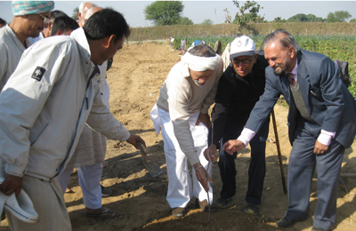 The saplings of Hariman-99, a new species of apple being planted at Sant Ashram, Ranjadi in Samba district on Monday.