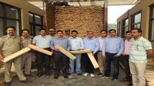 Excise Department sleuths displaying seized willow clefts at Lakhanpur Toll Post on Sunday.