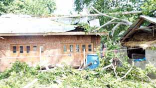 Massive destruction due to wind-storm in Pulwama. -Excelsior/ Younis Khaliq