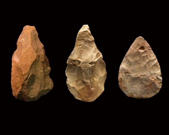 Humans used stone tools to butcher animals 250,000 years ago
