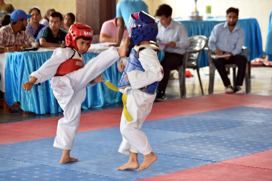 Players in action during a Taekwondo match.