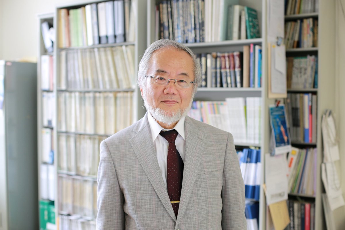Japan's Ohsumi wins Nobel Medicine Prize for cell 'recycling'
