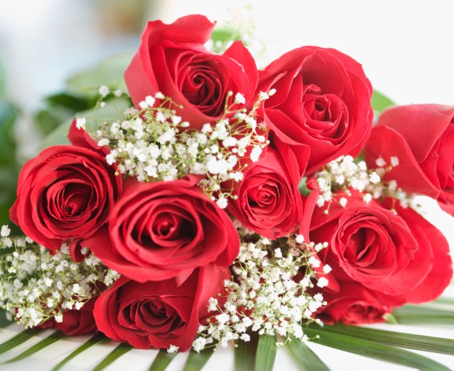 Red roses may be passe this Valentine's Day - Jammu Kashmir Latest News ...