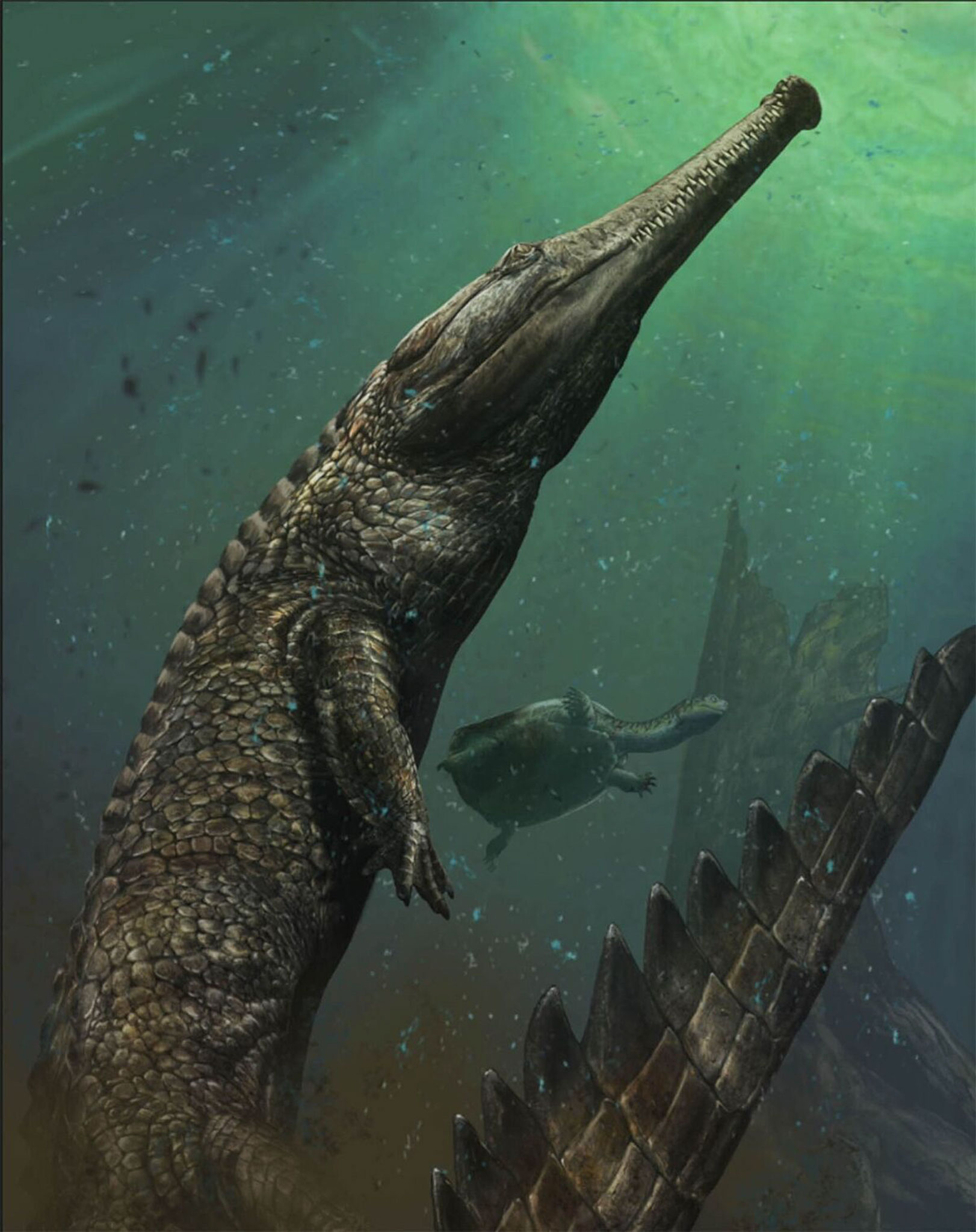 New species of crocodile-like dinosaur discovered