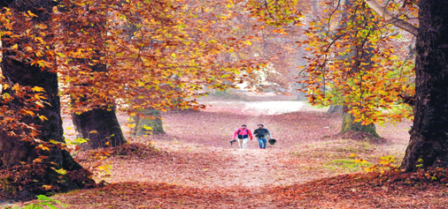 Foreign tourists enjoy autumn season at Nishat Garden, Srinagar on Saturday. —Excelsior/Shakeel