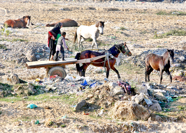A woman riding a horse cart passes through a dumping area on the outskirts of Jammu. -Excelsior/Rakesh