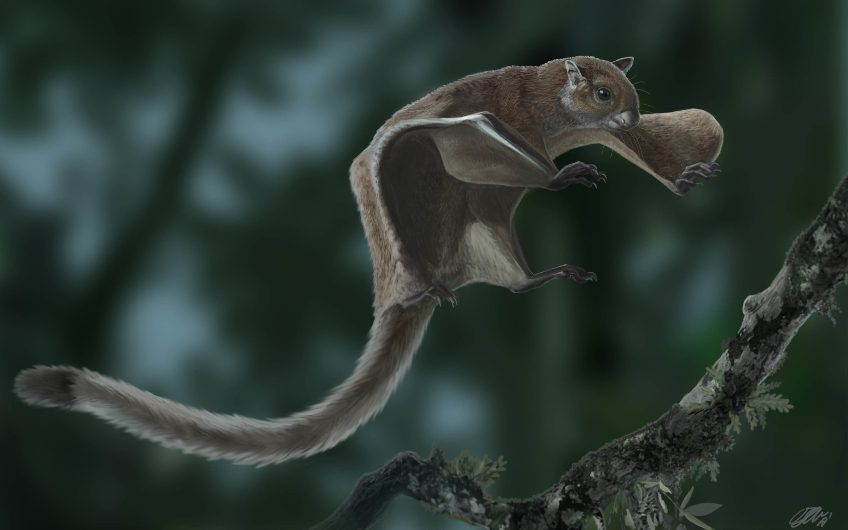 Oldest flying squirrel fossil found' - Jammu Kashmir Latest News | Tourism  | Breaking News J&K