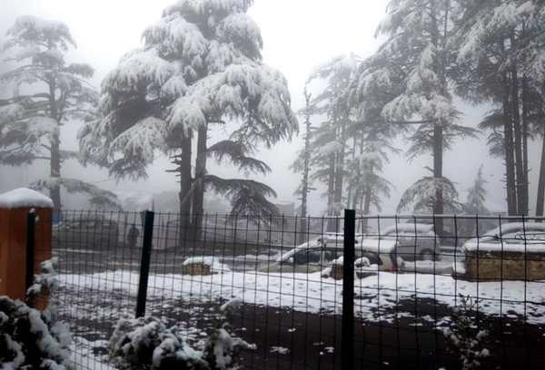 A view of fresh snowfall at Patnitop on Wednesday.