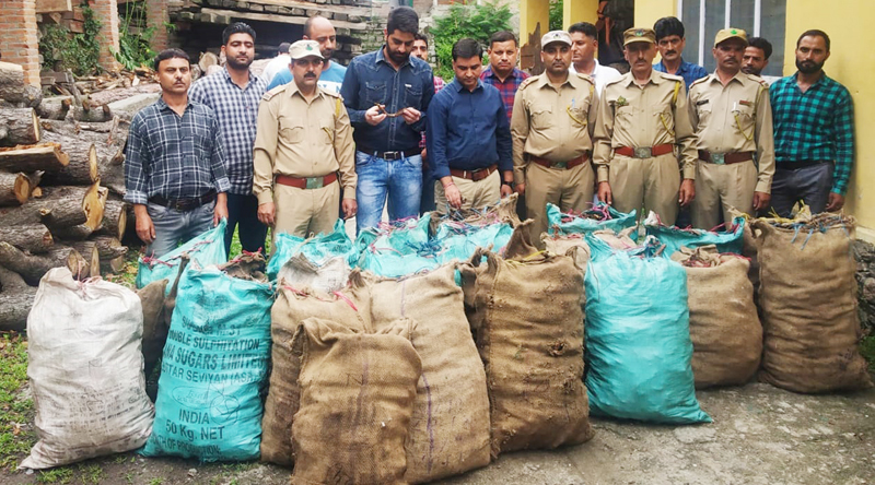 The sleuths of Forest Department showing seized forest produce at Bhadarwah. —Excelsior/Tilak Raj