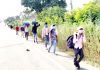 Migrant labourers marching on foot towards Lakhanpur to leave for their home States. -Excelsior/Pardeep