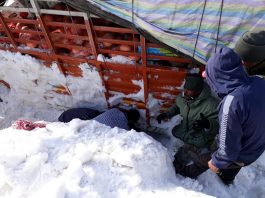 Vehicle trapped in avalanche near Shatani Nallah. —Excelsior/Basharat Ladakhi