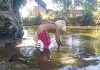 A lady fetching water from the pond in Rayour village of Block Sumb in Samba district.