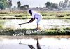 Farmer works in his field on the outskirts of Jammu.-Excelsior/Rakesh