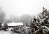 A panoramic view of snow laden trees in Chassana area of Reasi district.
