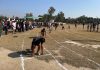 Players in action during Athletics Meet at Sports Stadium Kathua on Saturday.