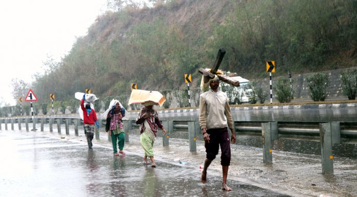 Labourers walk along highway during rains in Jammu on Friday. (UNI)