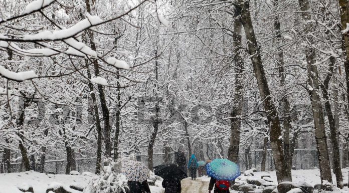 People walk through a snow-covered orchard during heavy snowfall in Tangmarg area of Baramulla district. -Excelsior/Aabid Nabi