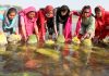 Women immersing holy Saak in river Tawi in Jammu on Sunday. —Excelsior/Rakesh