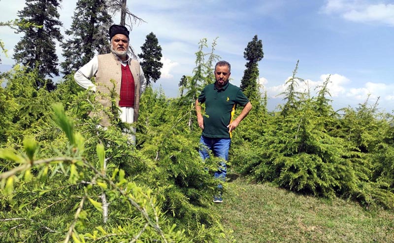 Abdul Hamid Bhat (56) known as tree man of Kashmir has planted over two lakh trees and fixed a target of planting 10 lakh trees by 2030. (UNI)