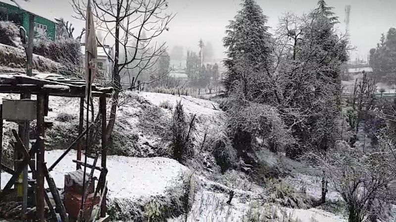 A thin layer of snow covering earth at Chinta Valley of Bhaderwah after fresh snowfall on Saturday.— Exccelsior/Tilak Raj
