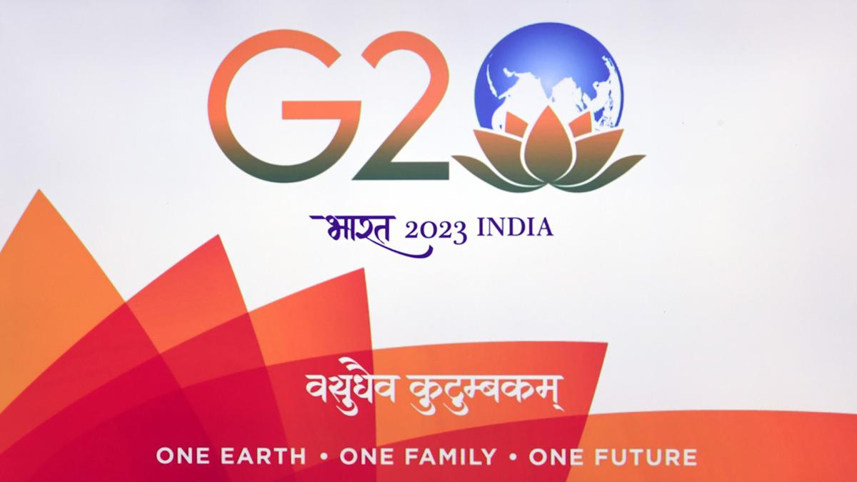 G20 countries agree upon role of education as critical enabler of human dignity, empowerment globally: Pradhan