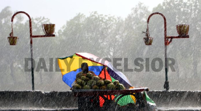 A fruit vendor waits for customers during heavy rain in Jammu on Wednesday. -Excelsior/Rakesh