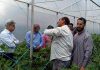 ACS Atal Dulloo with others visiting vegetable grown area of Srinagar on Sunday.