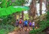 Top 3 Place For Jungle Trekking In Thailand