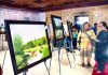 Painting of various artists on display at an art exhibition organized by ‘Second Lives Art Guild’ in Srinagar. -Excelsior/Shakeel