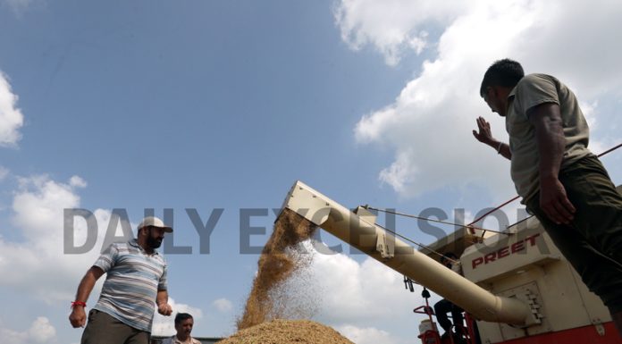 Farmers use a Combine Harvester machine for harvesting in a paddy field on the outskirts of Jammu. -Excelsior/Rakesh