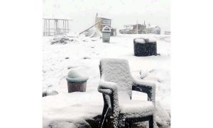Guldanda tourist resort in Bhaderwah receives first spell of heavy snowfall on Monday.-Excelsior/Tilak Raj