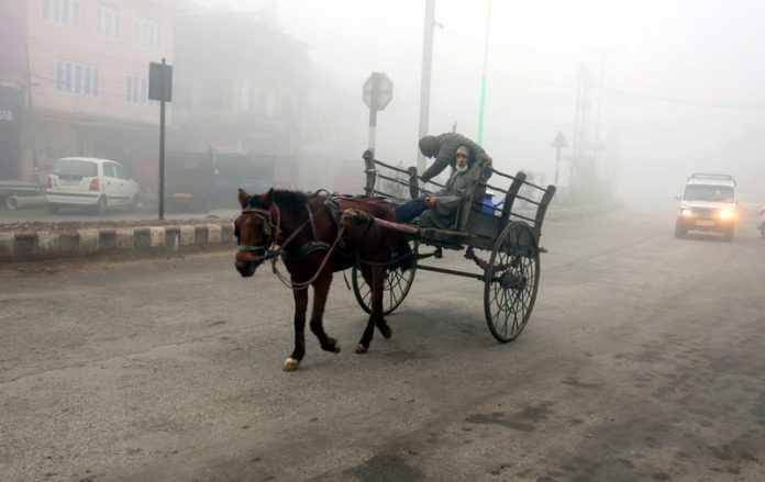Dense fog engulfs Srinagar. -Excelsior/Shakeel