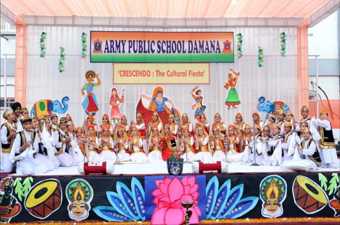 Students of APS Damana presenting cultural items during school Annual Day.