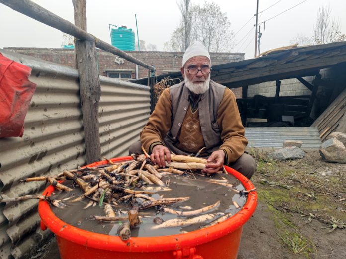 Abdul Ahad Wani showcasing his Nadru produce at his residence on Saturday. -Excelsior/Younis Khaliq