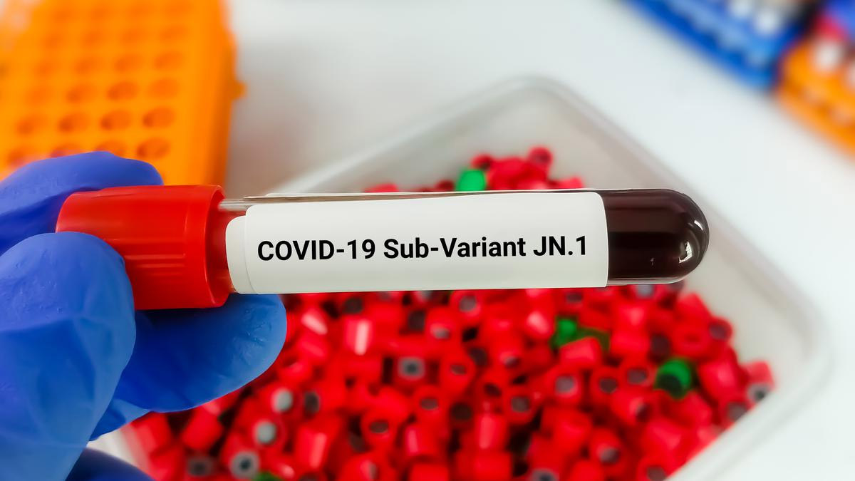 5 Folks Succumb To Covid In Final 24 Hours, 511 Circumstances Of JN.1 Collection Variant Reported Until January 2