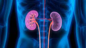 Sepsis, tropical fever most common causes for community-acquired acute kidney injury in India: Study - Daily Excelsior