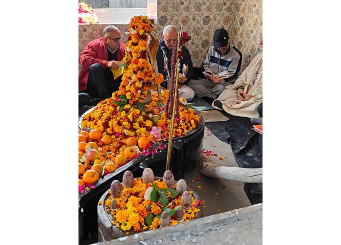 Religious scholars during the consecration ceremony of Akadash Maharudra at newly constructed Akadash Rudra Temple at Lower Muthi on Thursday.