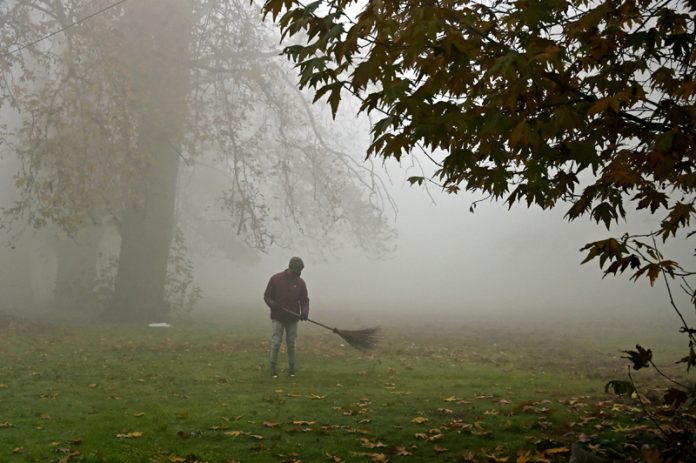 A worker busy clearing fallen leaves in a garden amid fog in Srinagar. - Excelsior/Shakeel