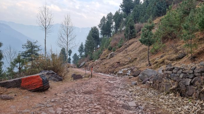 A view of the dilapidated road to Churunda Uri Village in North Kashmir. - Excelsior/Aabid Nabi