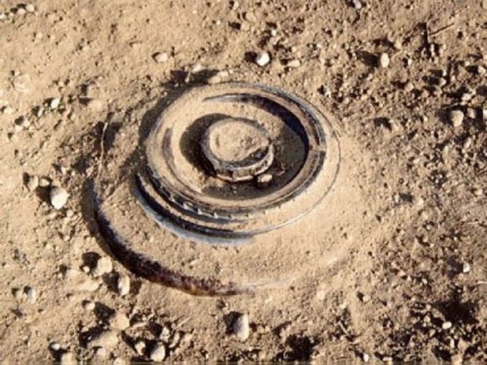 Land mine recovered
