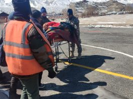 Patient With Critical Head Injuries Airlifted From Ladakh's Zanskar Region: IAF