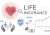 Life Insurance Essentials: What You Need to Know About Coverage and Expenses