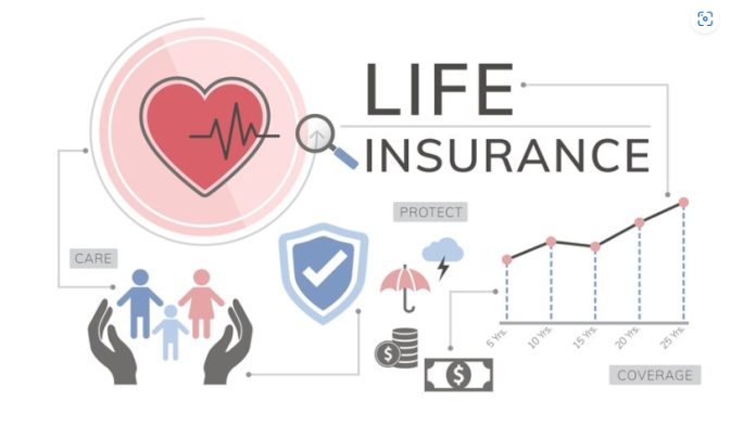 Life Insurance Essentials: What You Need to Know About Coverage and Expenses