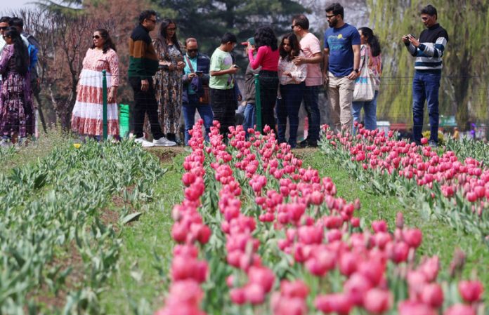 Tulip garden thrown open for visitors in Srinagar. —Excelsior/Shakeel