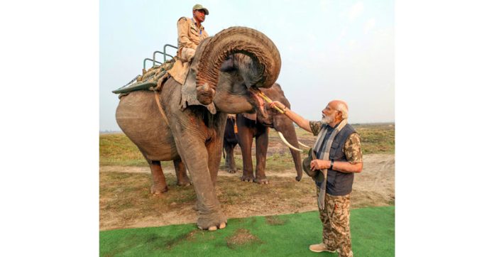 Prime Minister Narendra Modi feeds sugarcane to Lakhimai, Pradyumna and Phoolmai elephants during his visit to Kaziranga National Park, in Assam on Saturday. (UNI)
